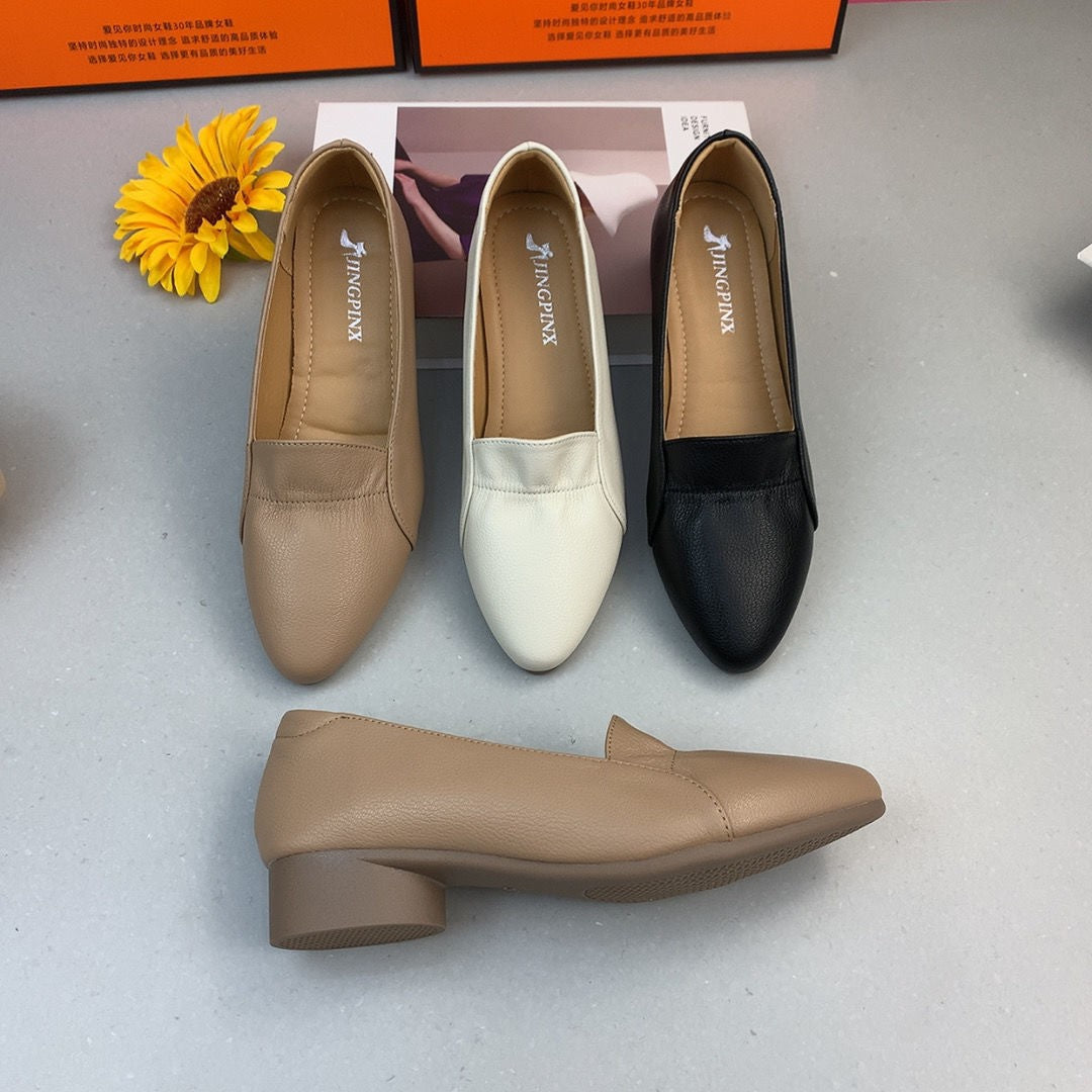 Zapatos clásicos de piel con punta