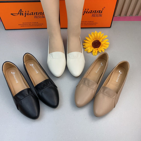 Zapatos clásicos de piel con punta